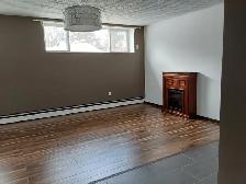 Bright Semi-Basement-Large Windows-Spotless-Renovated-East End - Photo 2
