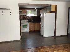 Bright Semi-Basement-Large Windows-Spotless-Renovated-East End - Photo 3