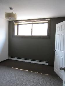 Bright Semi-Basement-Large Windows-Spotless-Renovated-East End - Photo 5