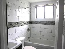 Bright Semi-Basement-Large Windows-Spotless-Renovated-East End - Photo 7