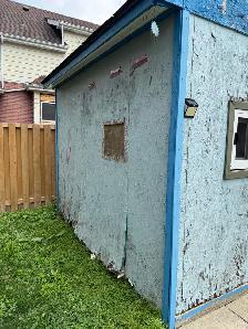 Free Shed - Photo 2