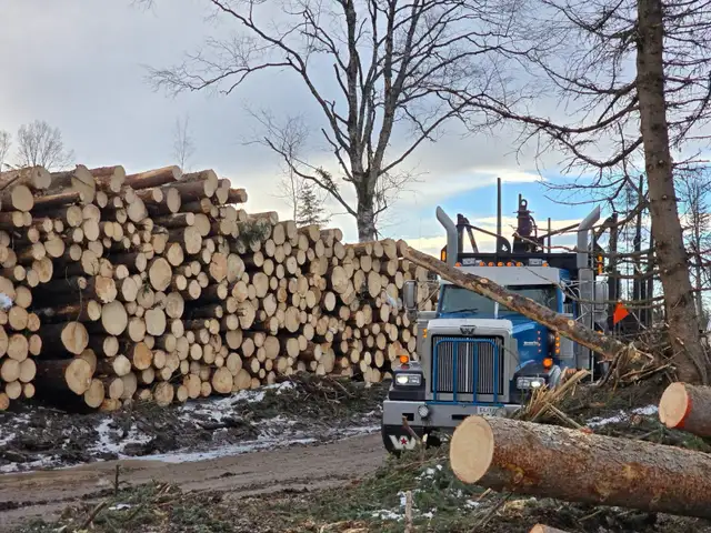 Log hauler