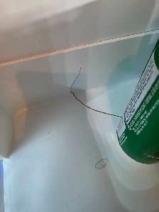 Full size fridge - Photo 5