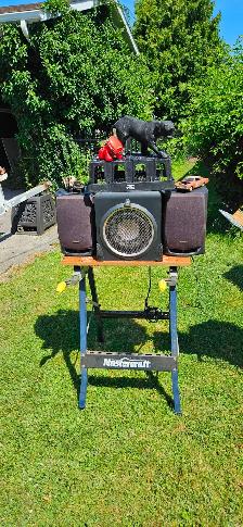 Garage Sale – Tools, Lawn Equipment, Collectibles, Household - Photo 9
