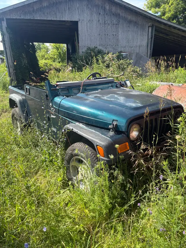 jeep buggy
