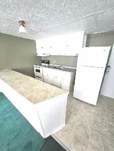 2 bedroom apartment for rent - Photo 4