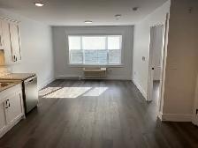 316-55 Forest Hill, Barrier Free 1 Bed/1Bath, Free Wifi, Sept. 1 - Photo 7