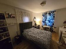 ALL included - Fully Furnished 3½   Office, Available SEPT 1st