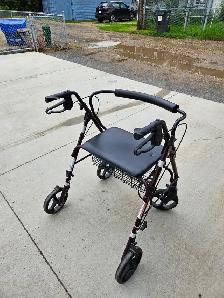 Bariatric Walker - Photo 4