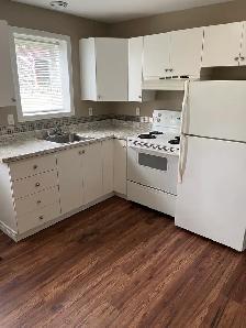 Available Immediately – Bright One-Bedroom Apartment in Paradise - Photo 3