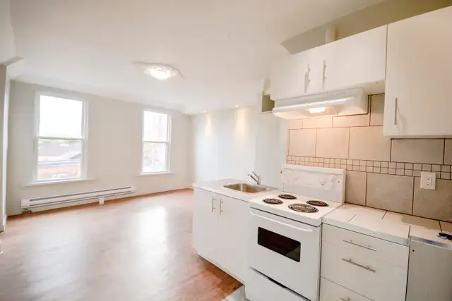 Studio Bachelor Apartment in Corktown