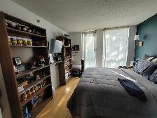 Condo LOUER/RENT 2 chambres coucher/bedrooms Montreal Downtown - Photo 8