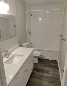 Stunning One Bedroom Apartment in Orillia with Garage - Photo 7