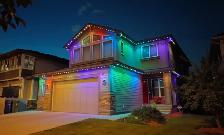Permanent Outdoor Lights - Photo 4