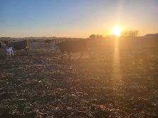 Farm Operator Required - Photo 3