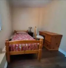Room available in the Basement - Photo 2