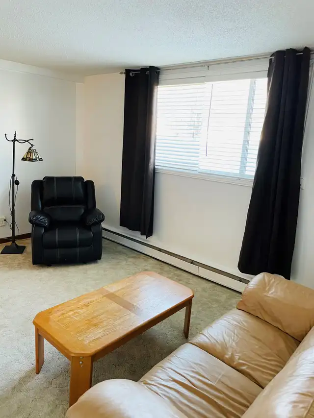 Furnished 1 BedRm. Suite, Non-Smoking, Eastside Suite