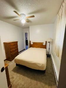 Furnished 1 BedRm. Suite, Non-Smoking, Eastside Suite - Photo 5