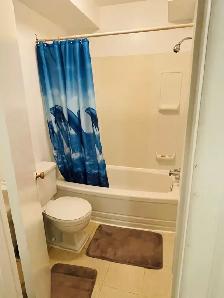 Furnished 1 BedRm. Suite, Non-Smoking, Eastside Suite - Photo 8