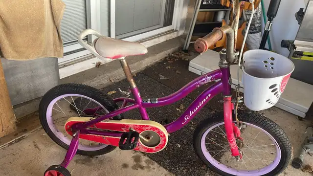 Schwinn Purple Kids Bicycle with Front Basket