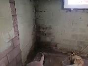 WET BASEMENT SUBSIDY TORONTO SUMP PUMP WATERPROOFING BACKWATER - Photo 2