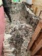 Sale- Demolition - Photo 2