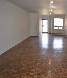 Commercial Space For Rent - 256 Lansdowne Ave, Toronto - Photo 3