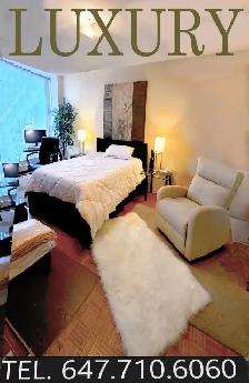 NORTH YORK LUXURY ROOM OFFER, 401 @ DON MILLS RD.MOVE IN SEPT.1