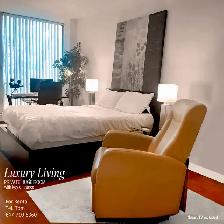 NORTH YORK LUXURY ROOM OFFER, 401 @ DON MILLS RD.MOVE IN SEPT.1 - Photo 2