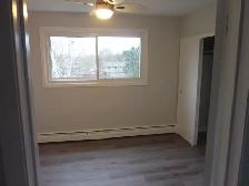 Huge Modern Renovated 2 bedroom Apartment - Haist Street Fonthil - Photo 4