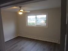 Huge Modern Renovated 2 bedroom Apartment - Haist Street Fonthil - Photo 5