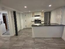 Appartement 4 1/2 Villeray