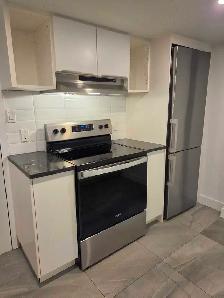 Appartement 4 1/2 Villeray - Photo 3