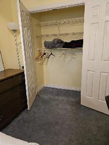 Room for Rent Close To York U, Env.Can, Sanofi Pasteur, UoT Aero - Photo 5