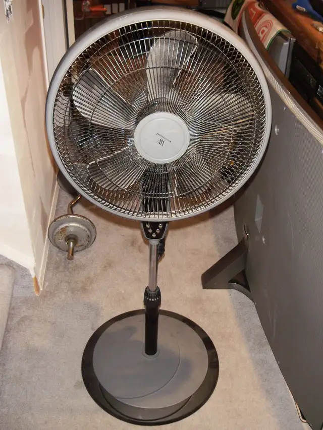 FAN, $25.