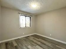Modern Newly Renovated 2 Bedroom Apt - Century Park - Photo 7