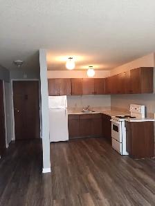1 bd apartment ONE block from NAIT 11926-105 Street - Photo 2