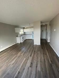 1 bd apartment ONE block from NAIT 11926-105 Street - Photo 3
