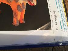 La Nouvelle Encyclopédie des Antiquités du québec comme neuve - Photo 8