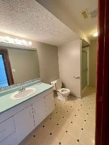 #205 REICHLEY ST ROSEDALE MEADOWS RED DEER HOME FOR SALE - Photo 10