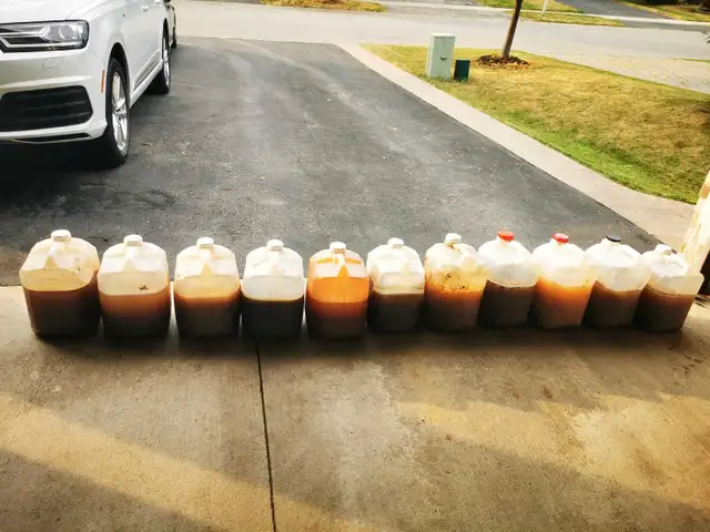All-inclusive Organic Liquid Fertilizer