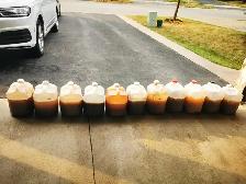 All-inclusive Organic Liquid Fertilizer