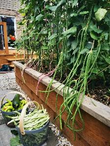 All-inclusive Organic Liquid Fertilizer - Photo 2