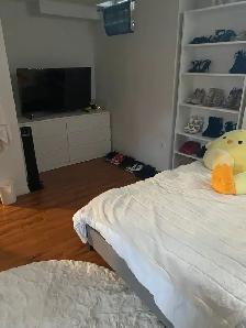 2-Bedroom Basement Apartment TTC GO TRAIN nearby - Photo 2