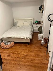 2-Bedroom Basement Apartment TTC GO TRAIN nearby - Photo 3