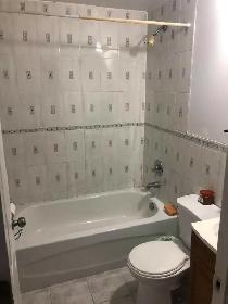 2-Bedroom Basement Apartment TTC GO TRAIN nearby - Photo 5