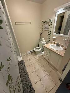 apartment rental - Photo 3