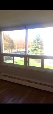 Bachelor Apartment for Rent - $1130 - Photo 3