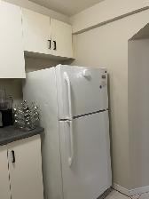 ONE BEDROOM BASEMENT FOR RENT- $1250/-FROM 1st SEPTEMBER, 2026 - Photo 3