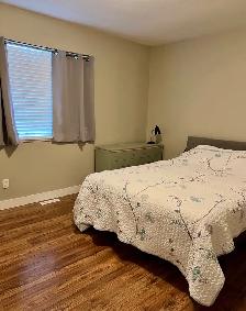 NEWER 3 BEDROOM W/DBL GRG & FCD YD, BEST AREA - Photo 4